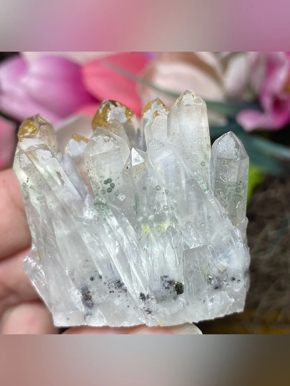 N/A rainbow filled